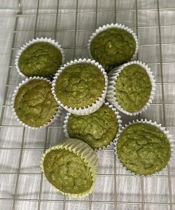 453250977_1024362543022851_6167873307195086822_n